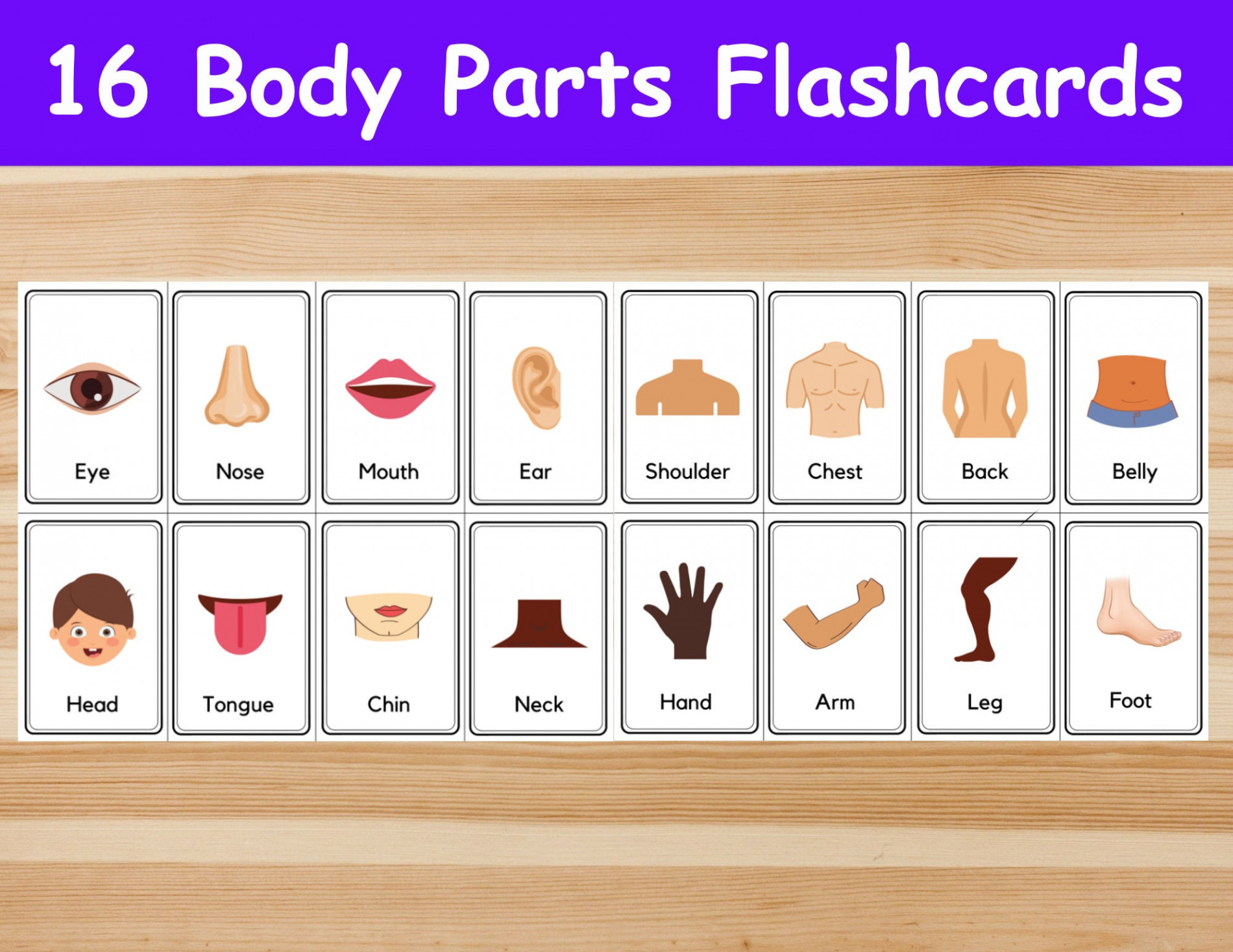 Body Parts Flashcards / Image Cards for Kids, Preschoolers