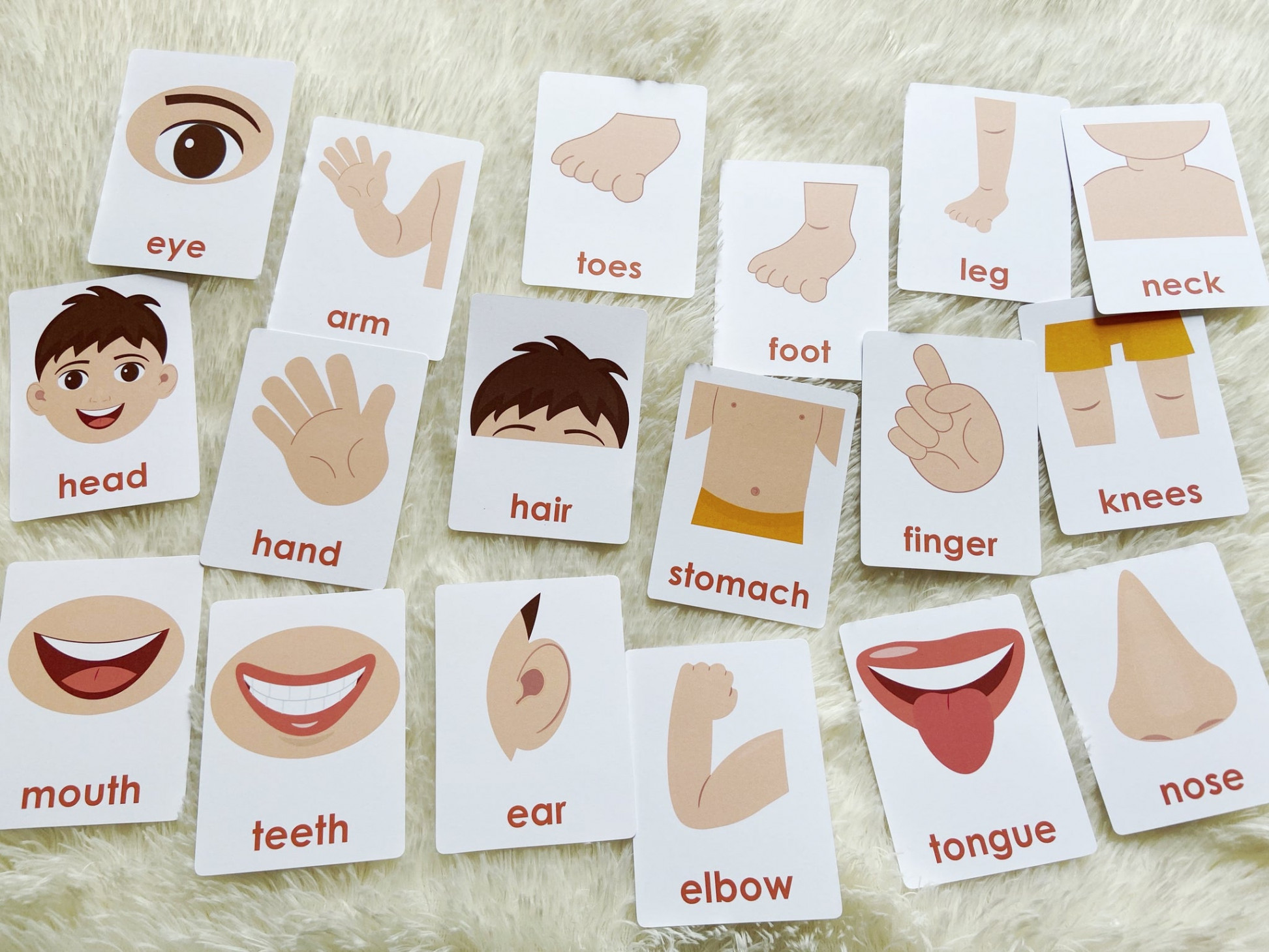 Body Parts Flashcards, Montessori -part cards – Playingtots