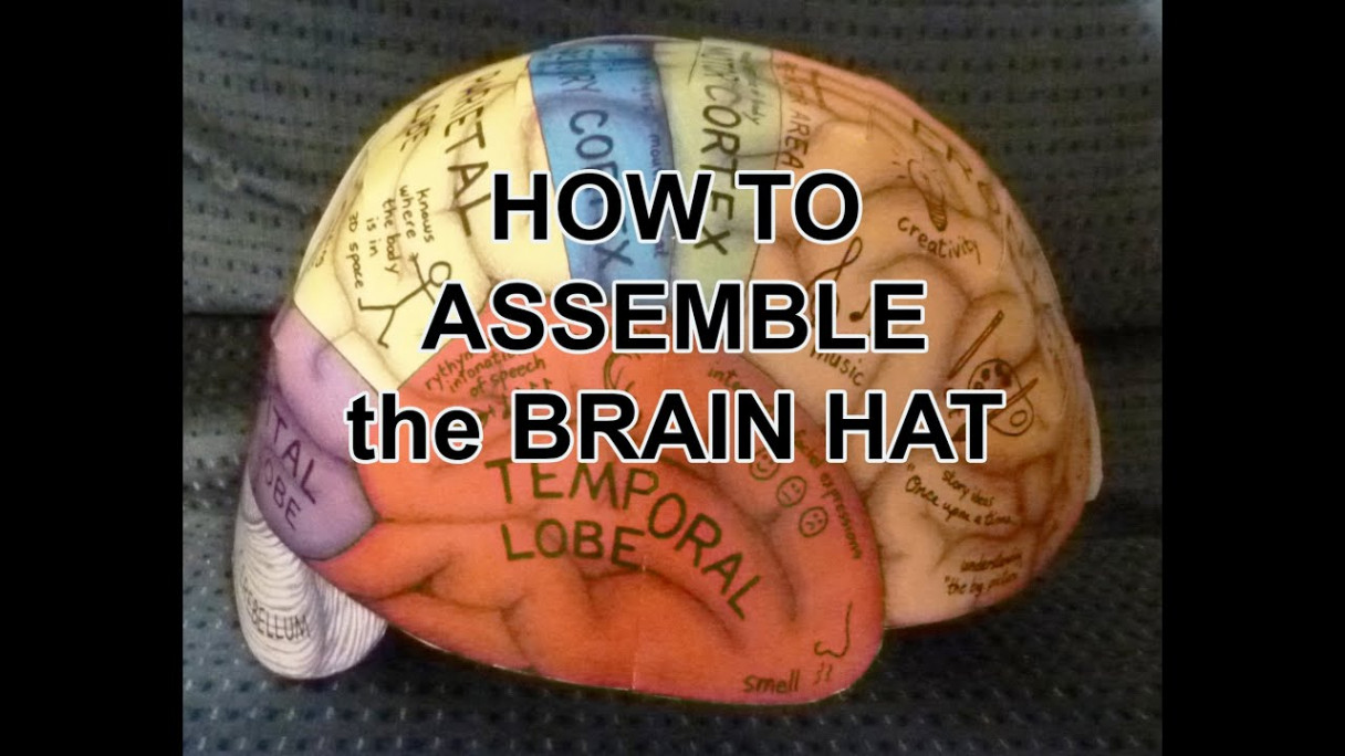 Brain Hemisphere Hat – Ellen McHenry