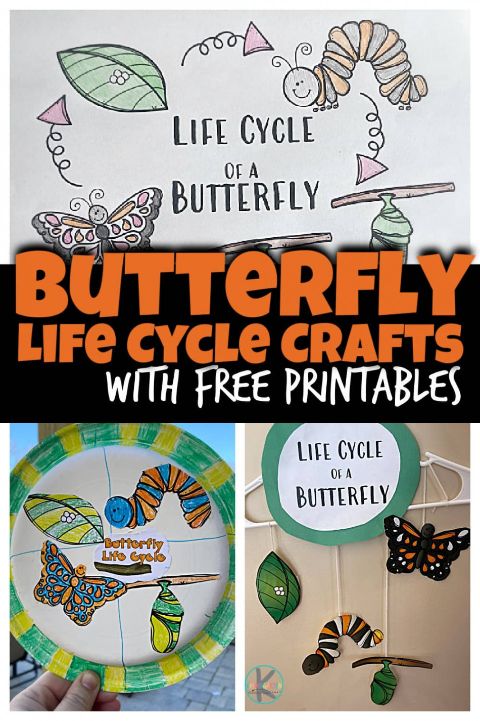 🦋 Butterfly Life Cycle Crafts w/ Free Printables