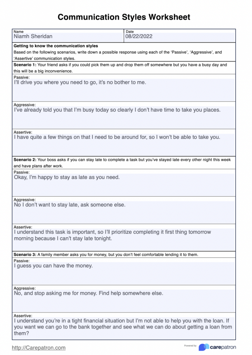 Communication Styles Worksheet & Example  Free PDF Download