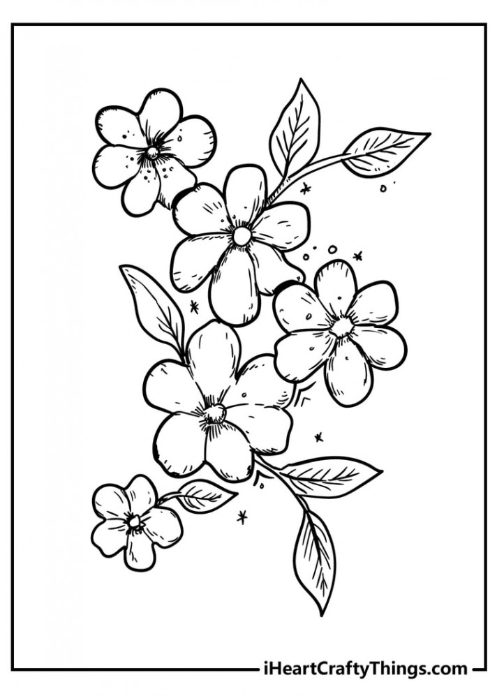 Flower Coloring Pages (% Free Printables)