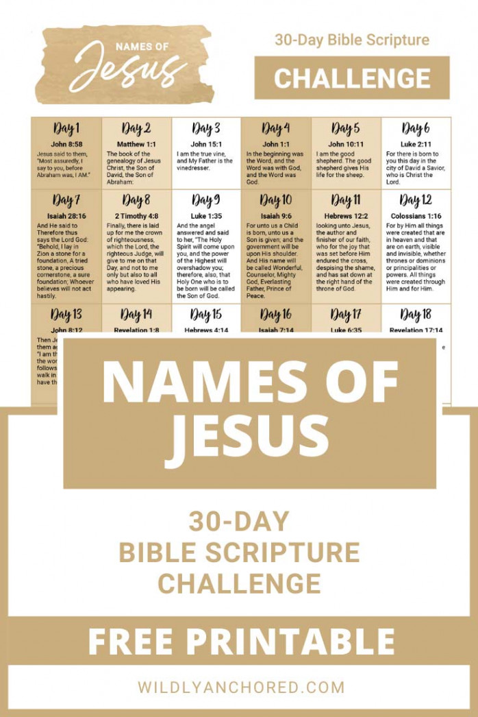 FREE -Day Names of Jesus Scripture Challenge Printable - Wildly