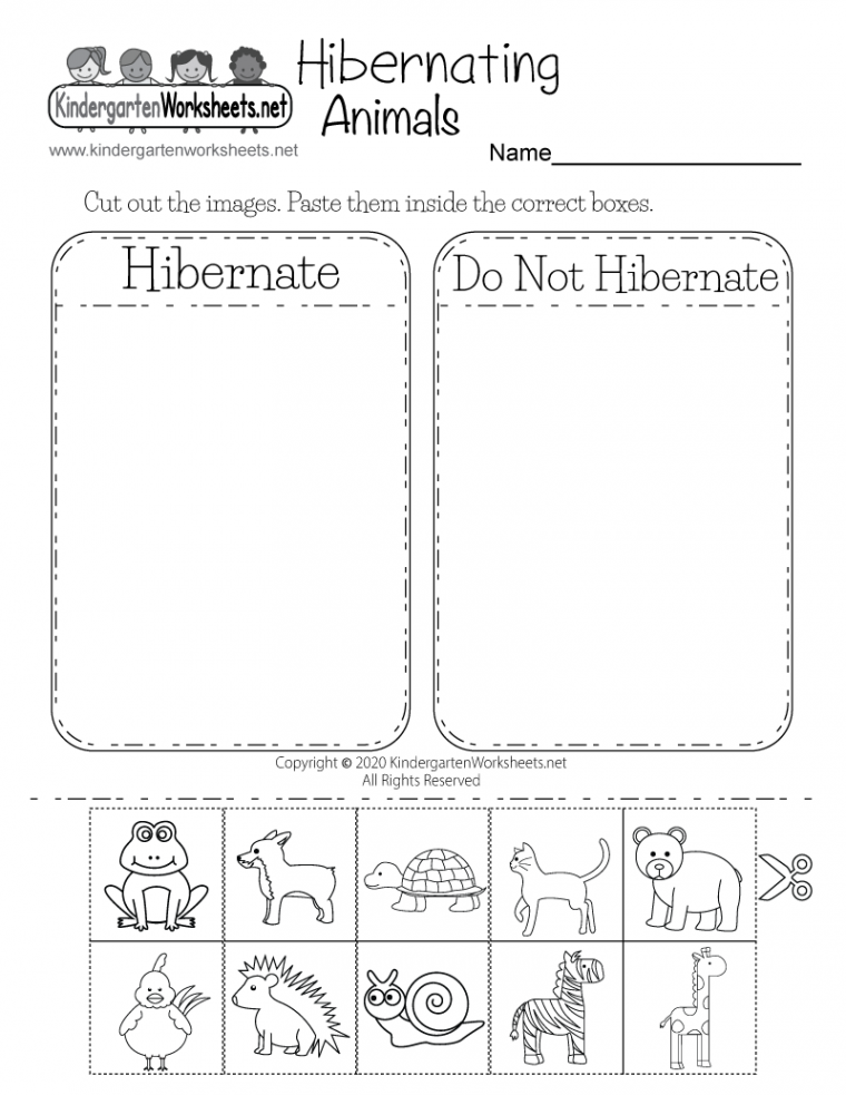 Hibernating Animals Worksheet for Kindergarten - Free Printable