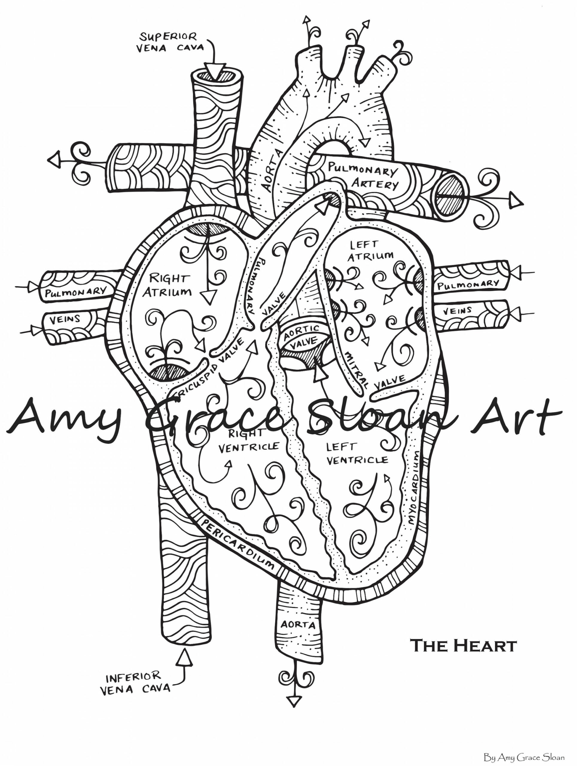 Human Anatomy Coloring Pages - Etsy