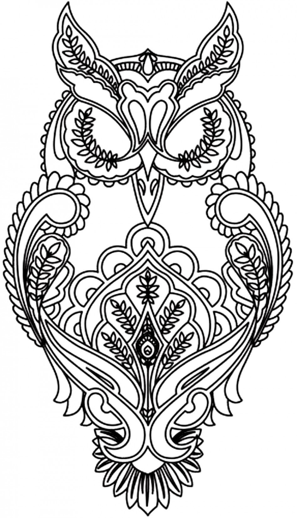 Insects & Animals - Coloring Pages for adults  Owl coloring pages