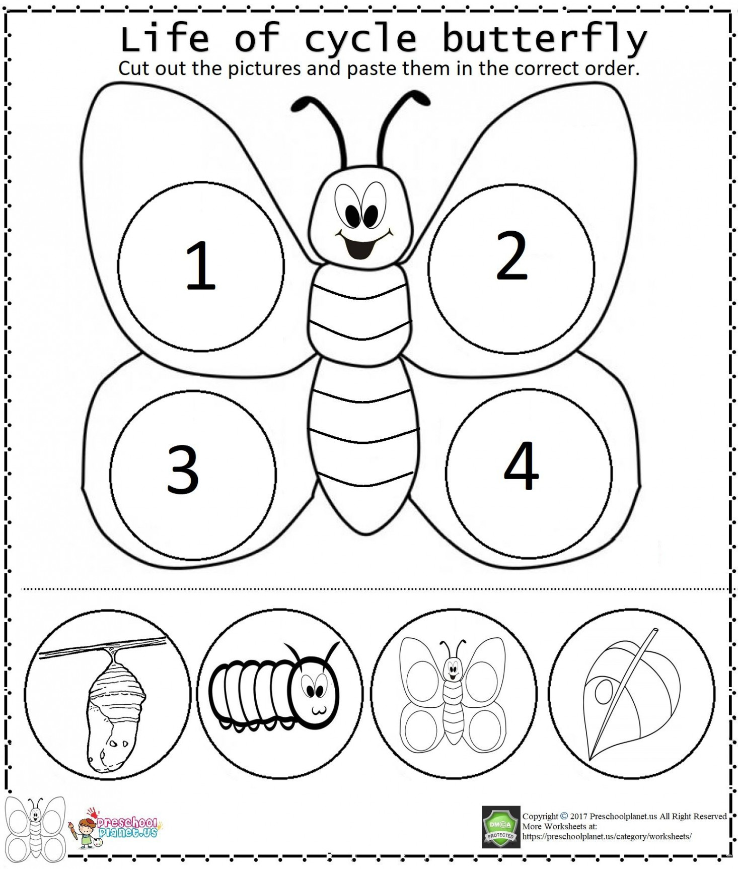 Life Of Cycle Butterfly Worksheet  Butterfly life cycle