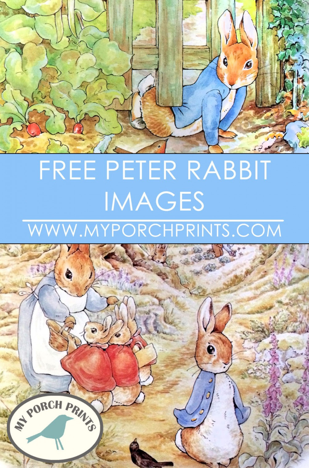 My Porch Prints: Freebie Friday - Peter Rabbit Images