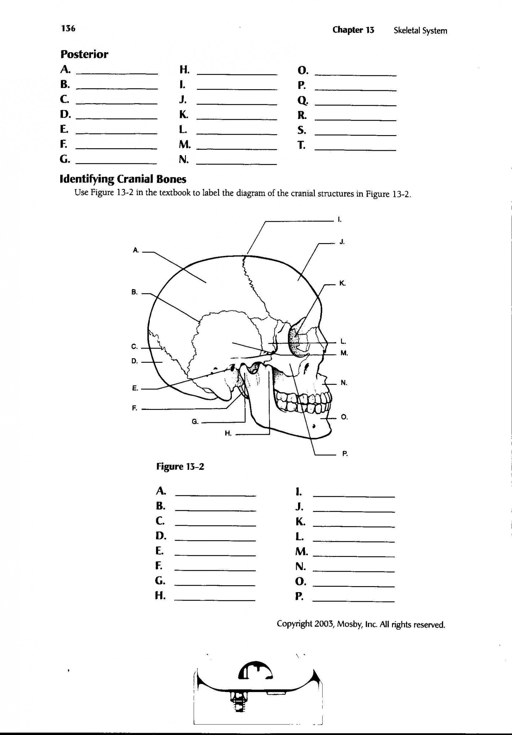 Printable Anatomy Labeling Worksheets Pin On Printable Worksheet