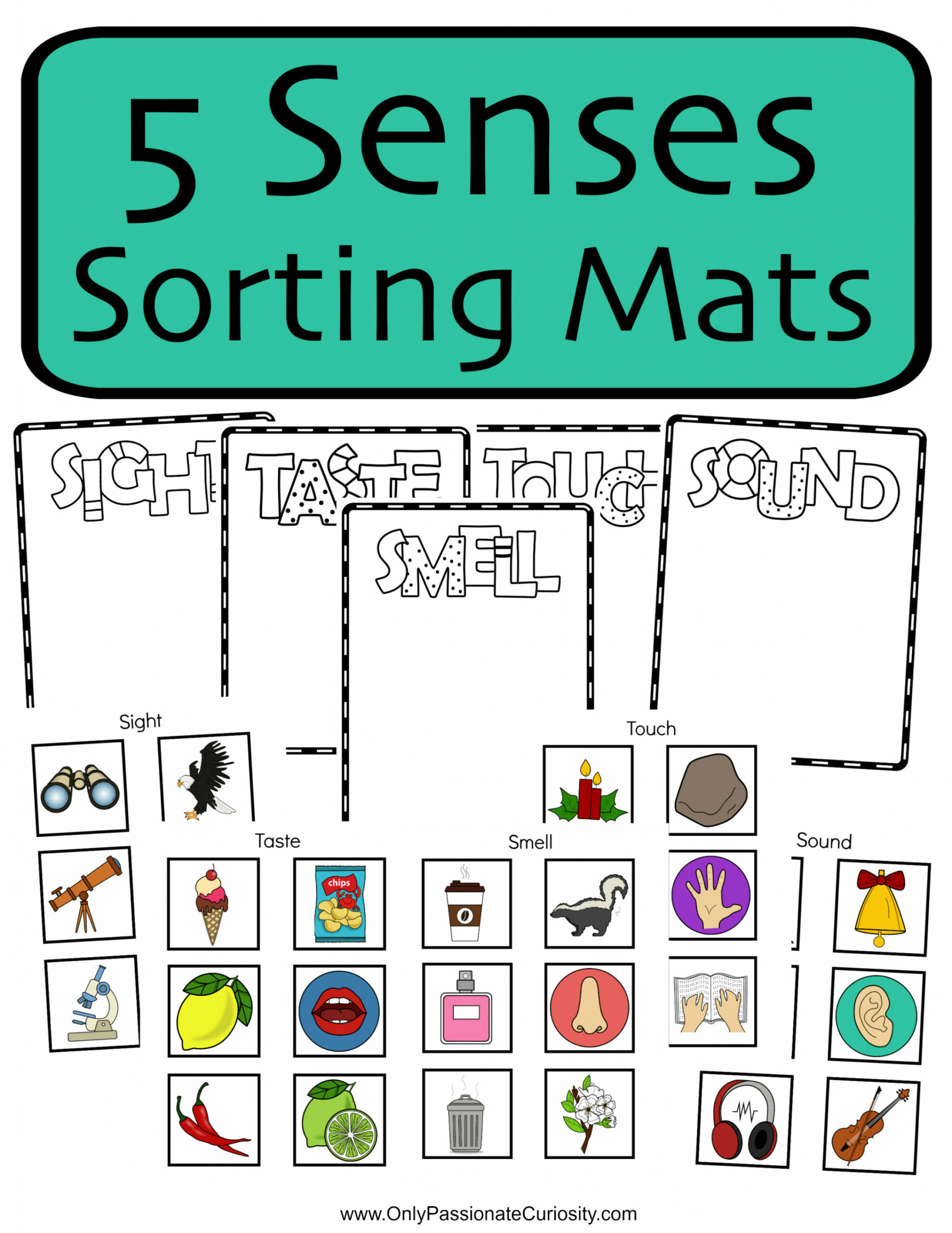 Senses Sorting Mats - Only Passionate Curiosity