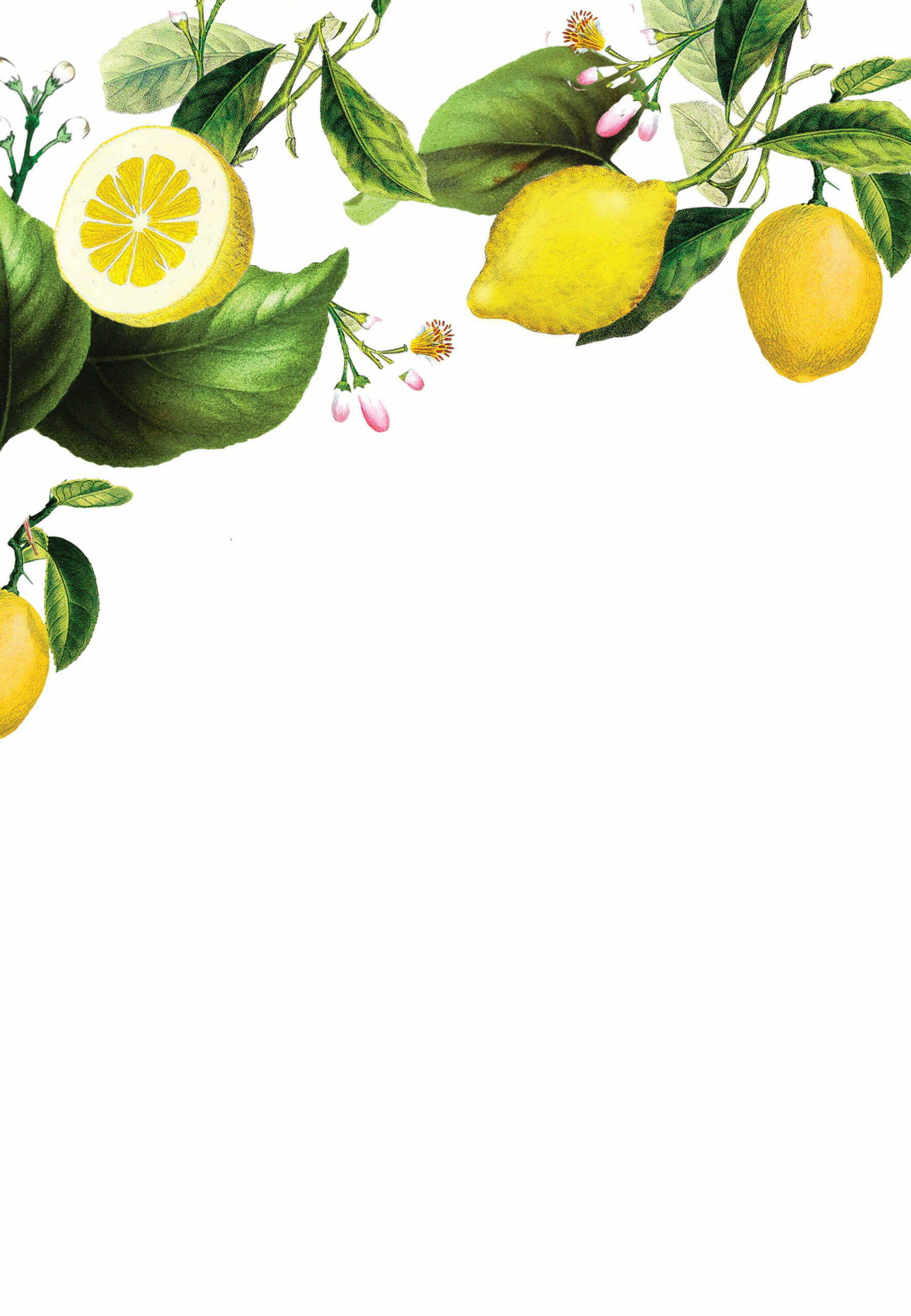 Sicilian Lemon Tree - Wedding Invitation Template (Free