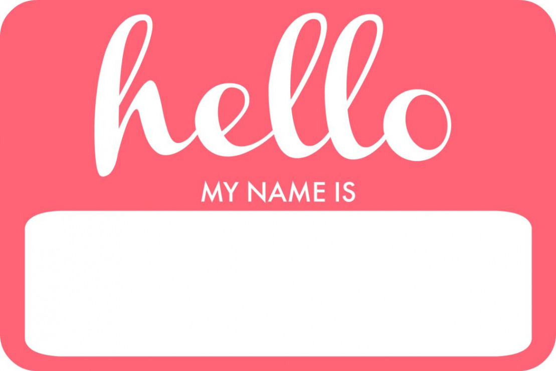 Welcome Livvy! + DIY Name Tag  The ELM Life  Diy name tags