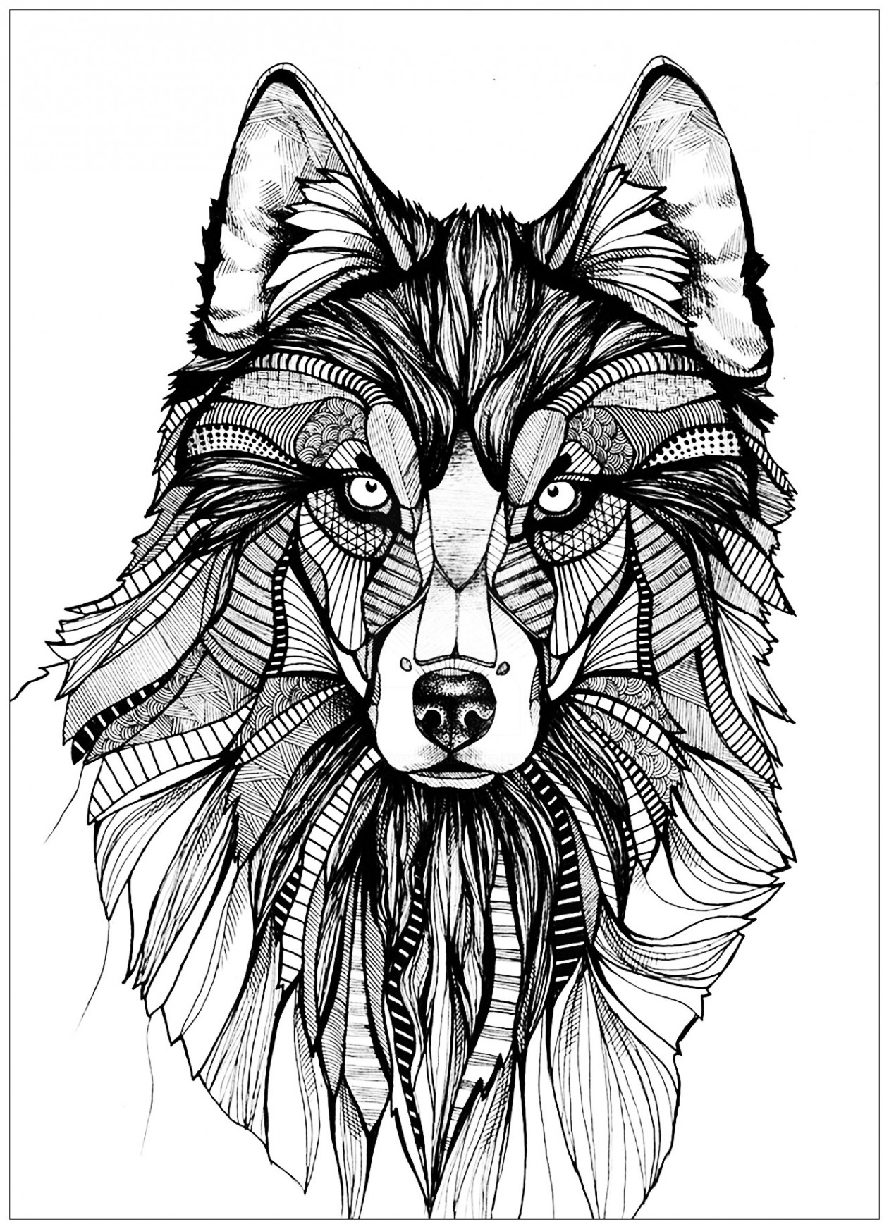 Wolf Coloring Pages for Adults - Best Coloring Pages For Kids