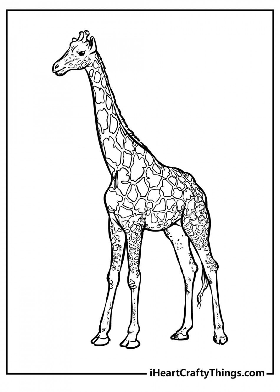 Zoo Animals Coloring Pages (% Free Printables)