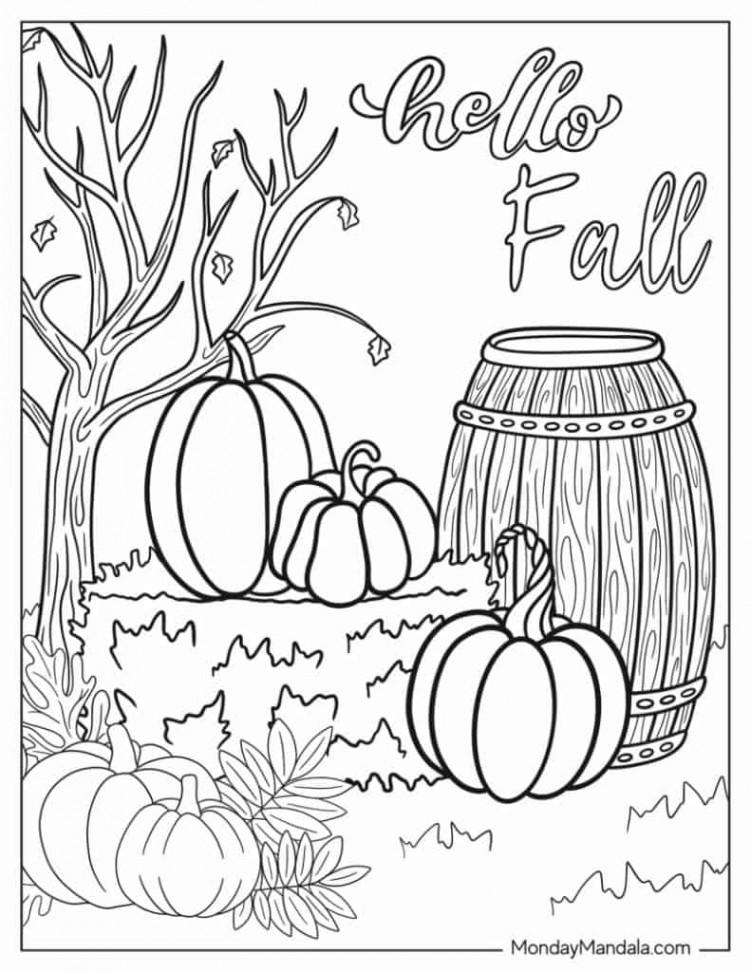 Autumn & Fall Coloring Pages (Free PDF Printables)