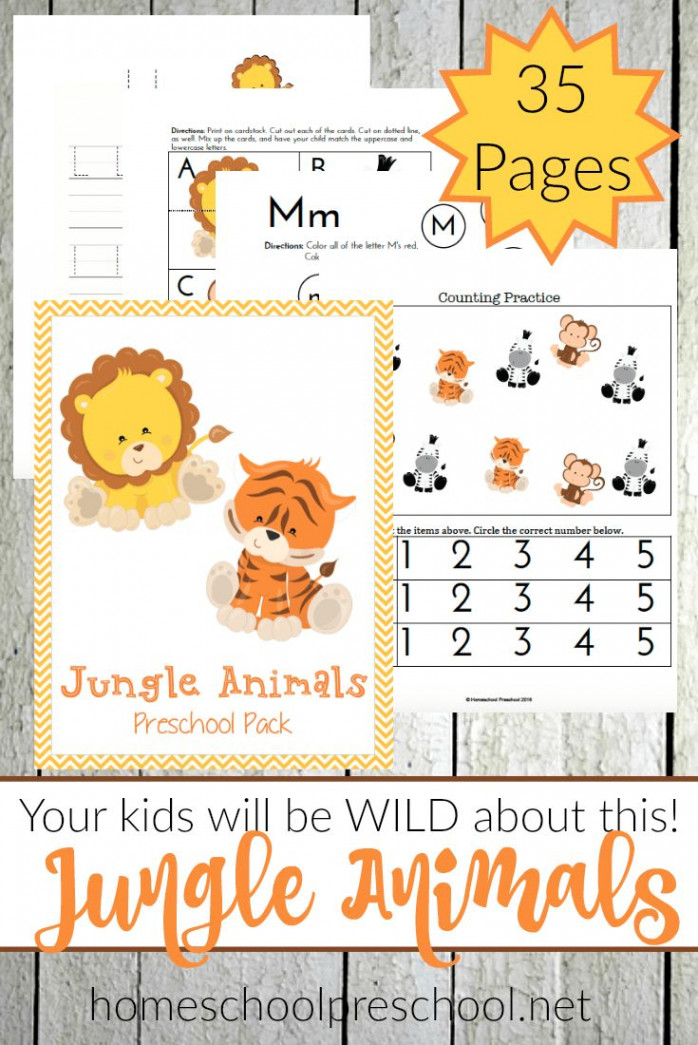 Free Jungle Animals Preschool Pack ( Pages!)  Jungle animals