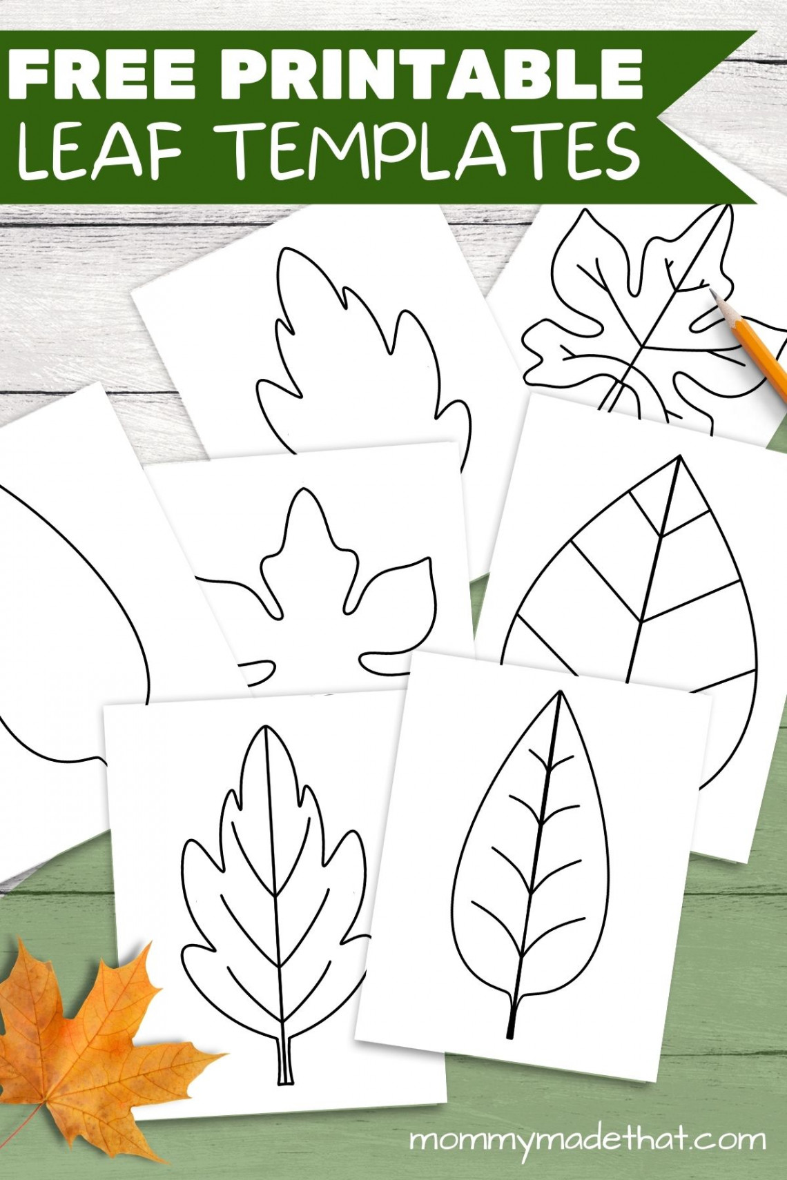 Free Leaf Templates & Outlines: Tons of Printables!!