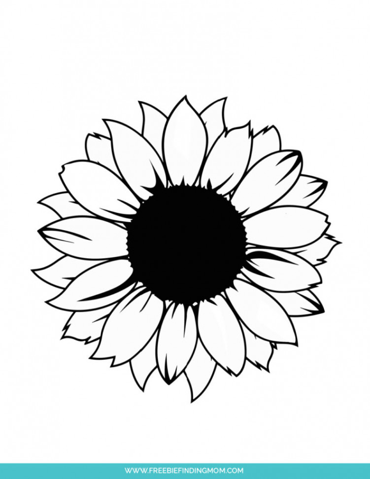 Free Printable Sunflower Stencils (Template PDFs) - Freebie