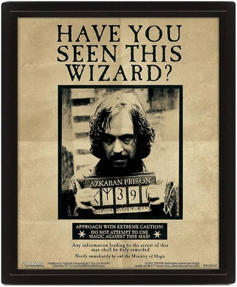 HARRY POTTER (HARRY & SIRIUS) FRAMED X D : Amazon