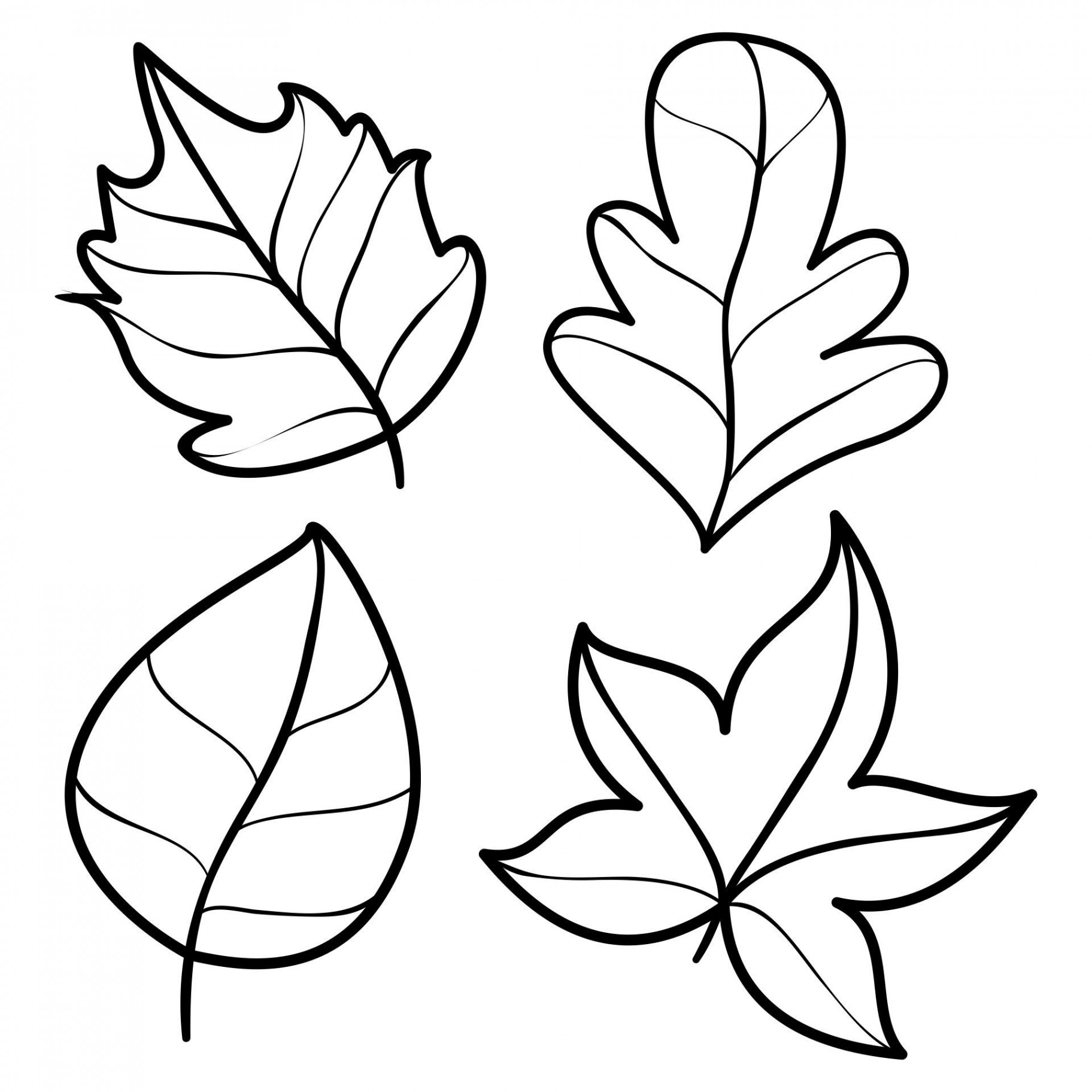 Printable Large Leaf Templates  Leaf template printable, Leaves