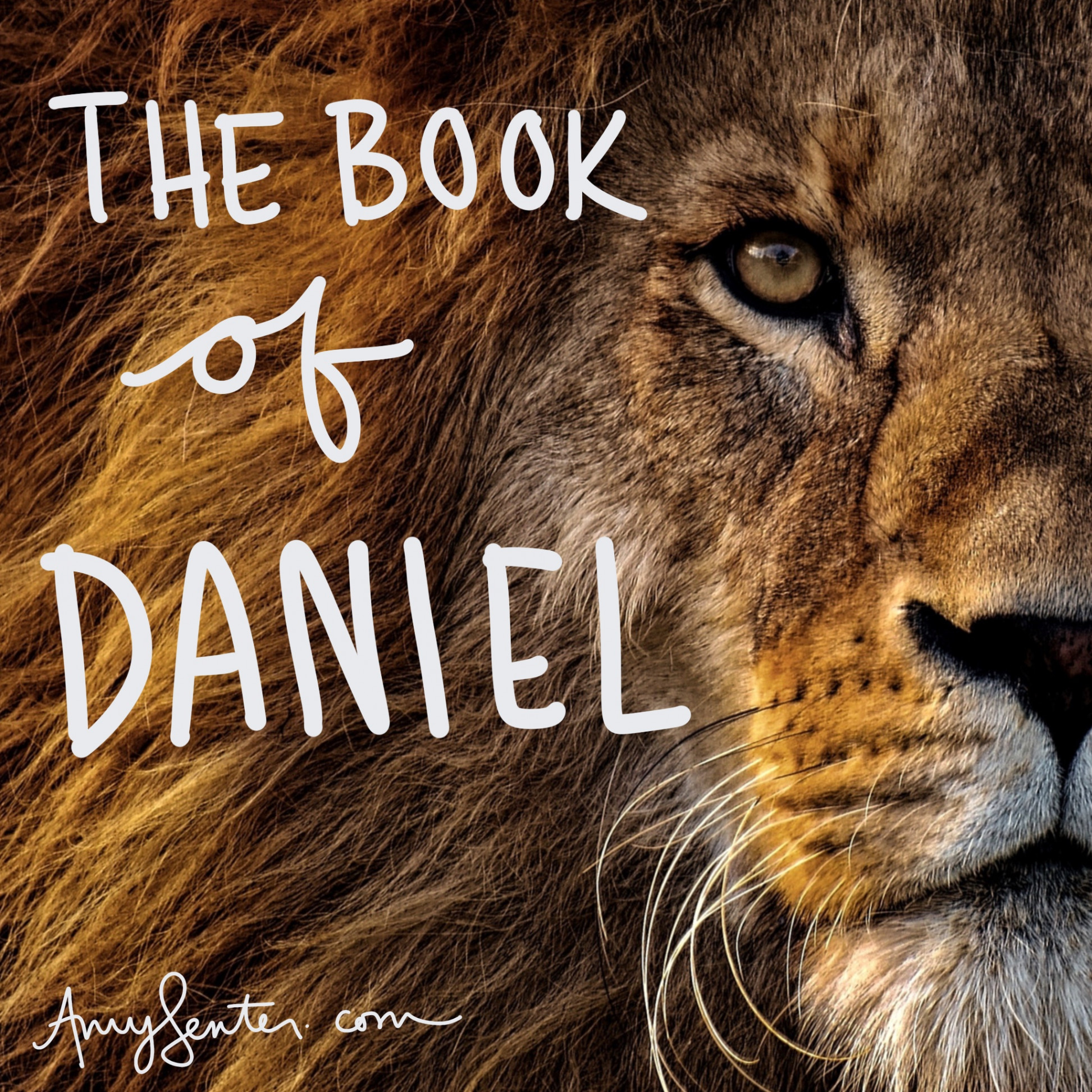 Printable Study for the Book of Daniel in the Bible