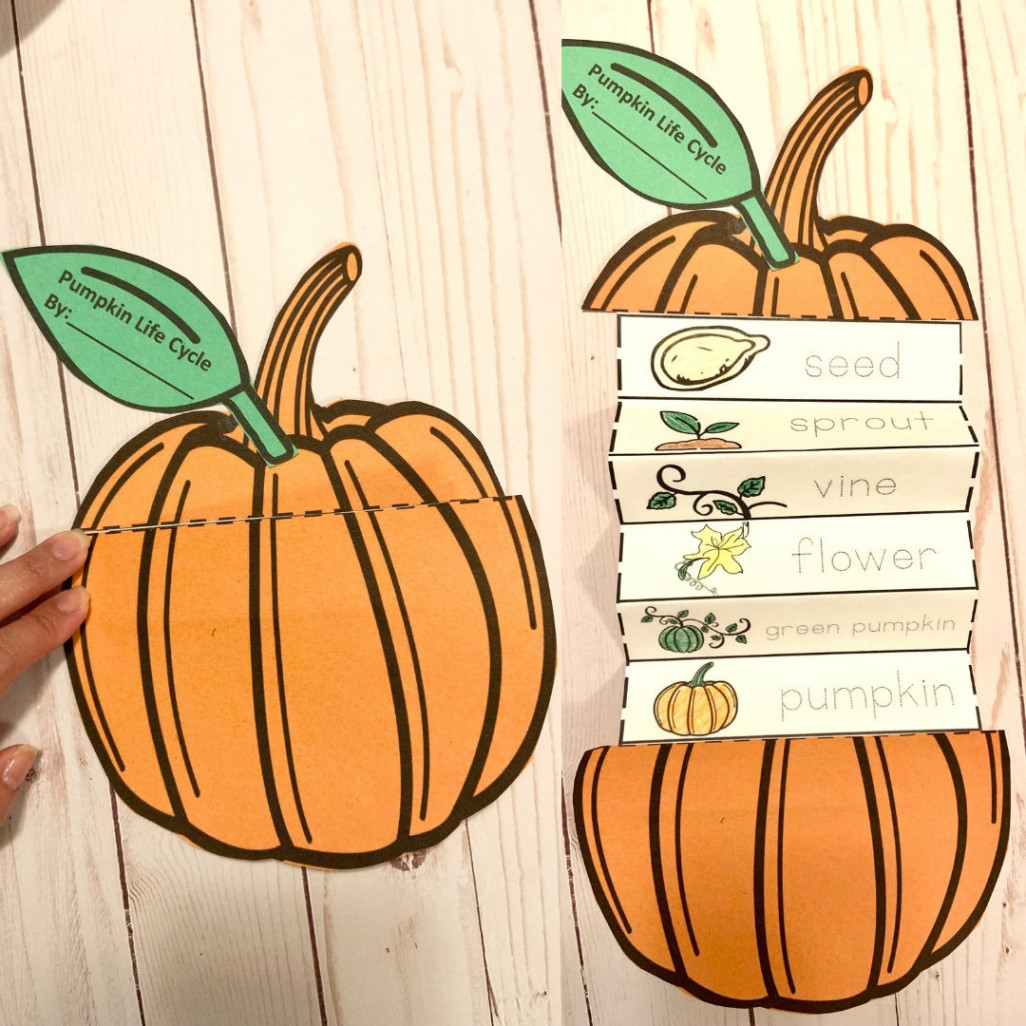 Pumpkin Life Cycle Kids Craft - Etsy