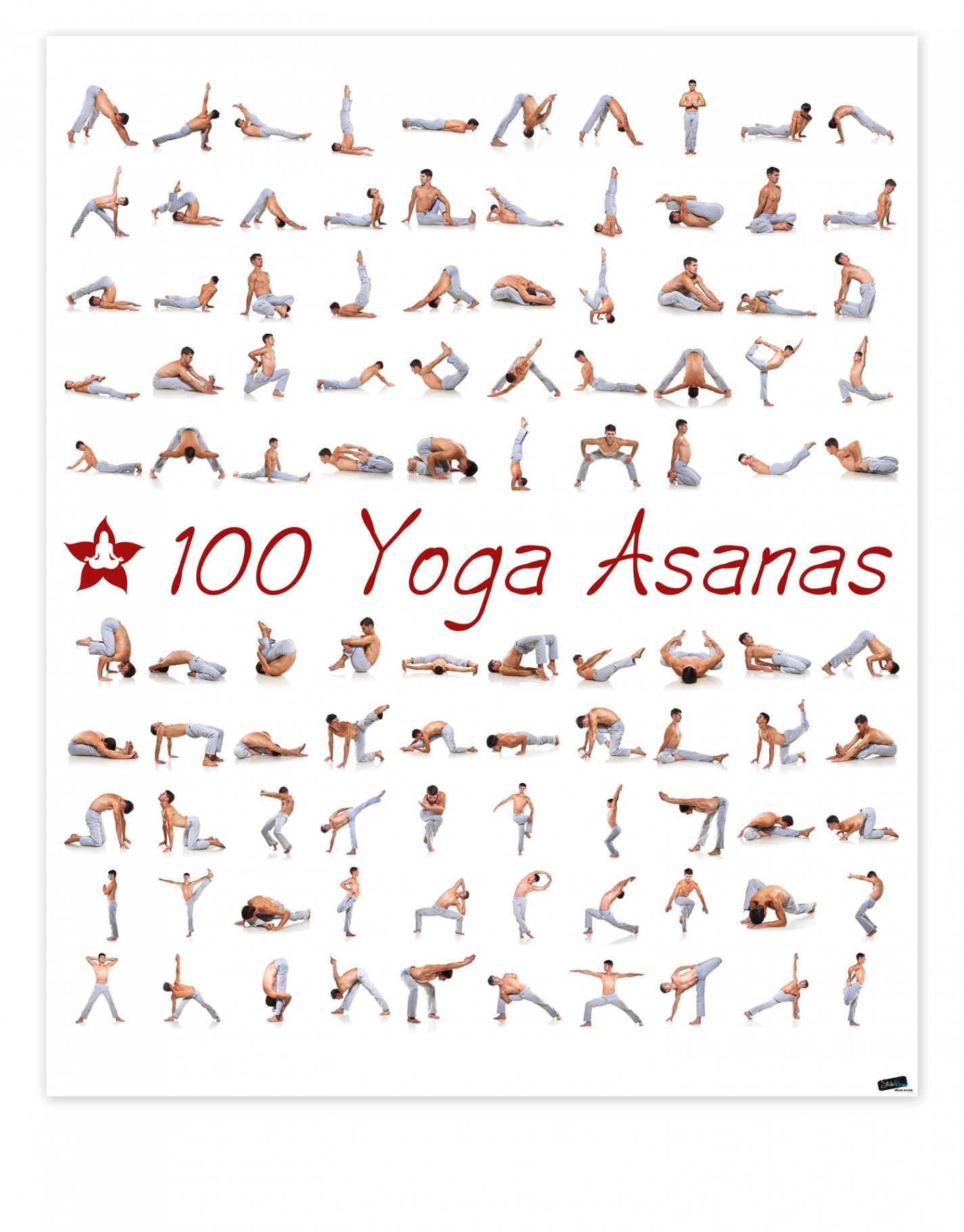 Stickerbrand  Yoga Poses Asanas Poster. Instructional Graphic Poster for  Yoga Studio or Home