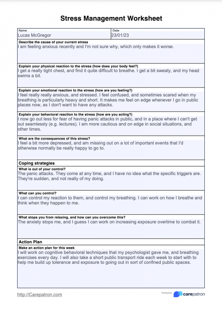 Stress Management Worksheet & Example  Free PDF Download