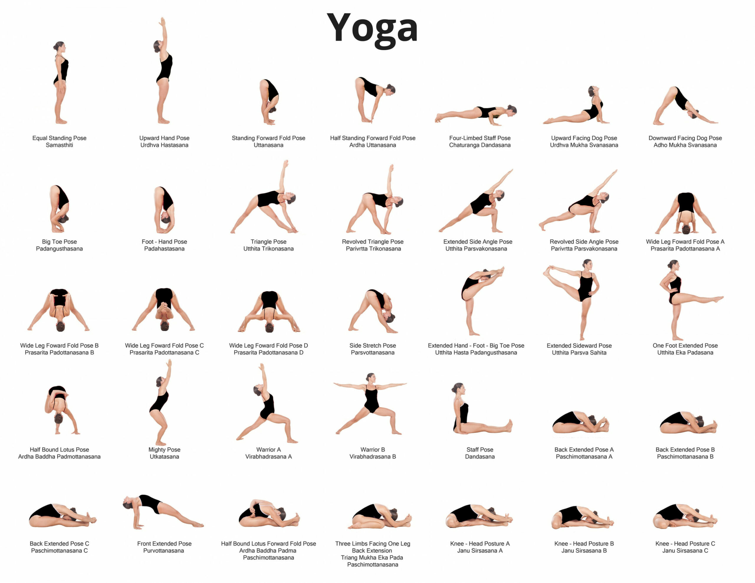 Yoga Poses PDF