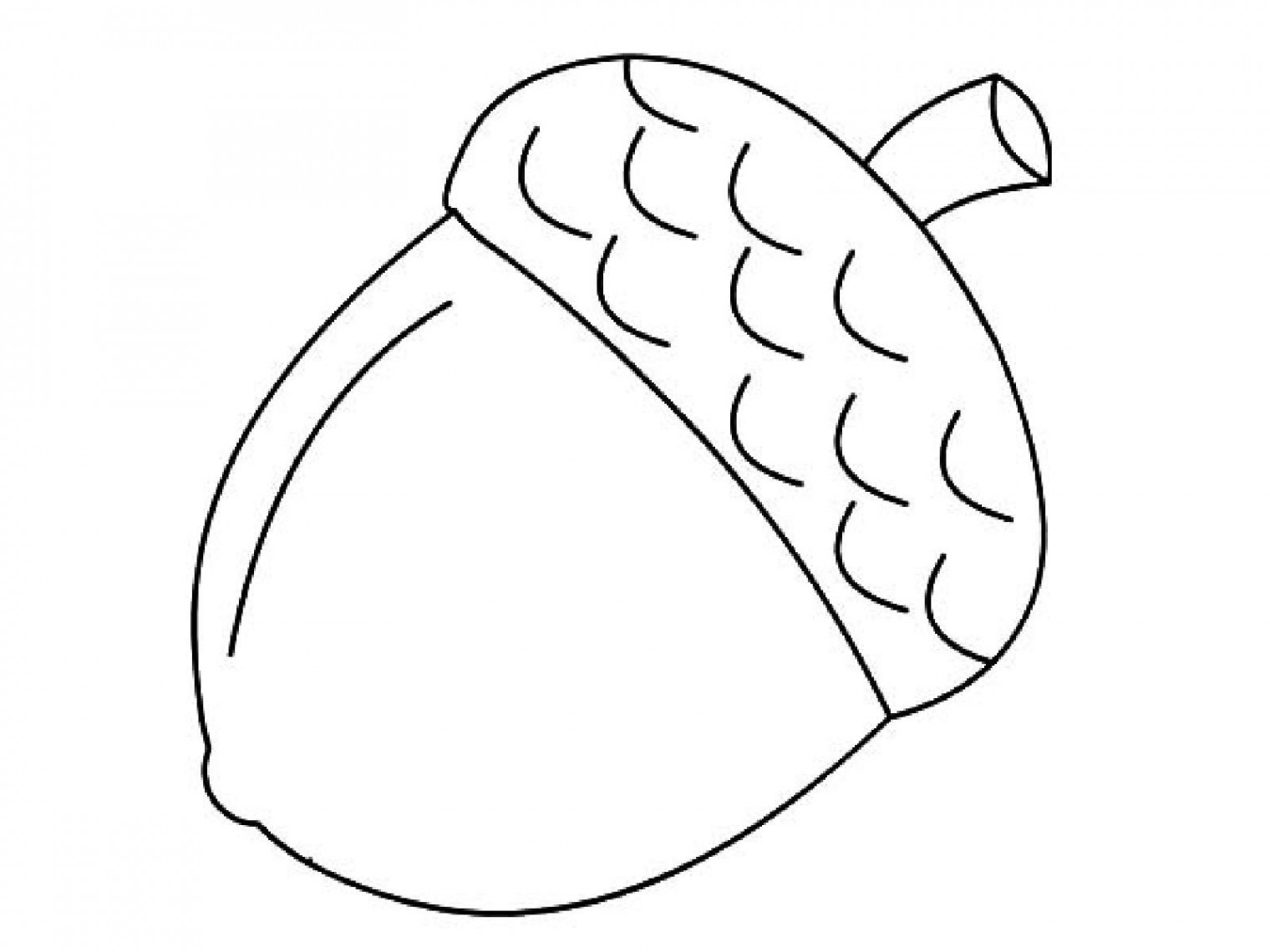 Acorn Coloring Pages - Best Coloring Pages For Kids  Fall