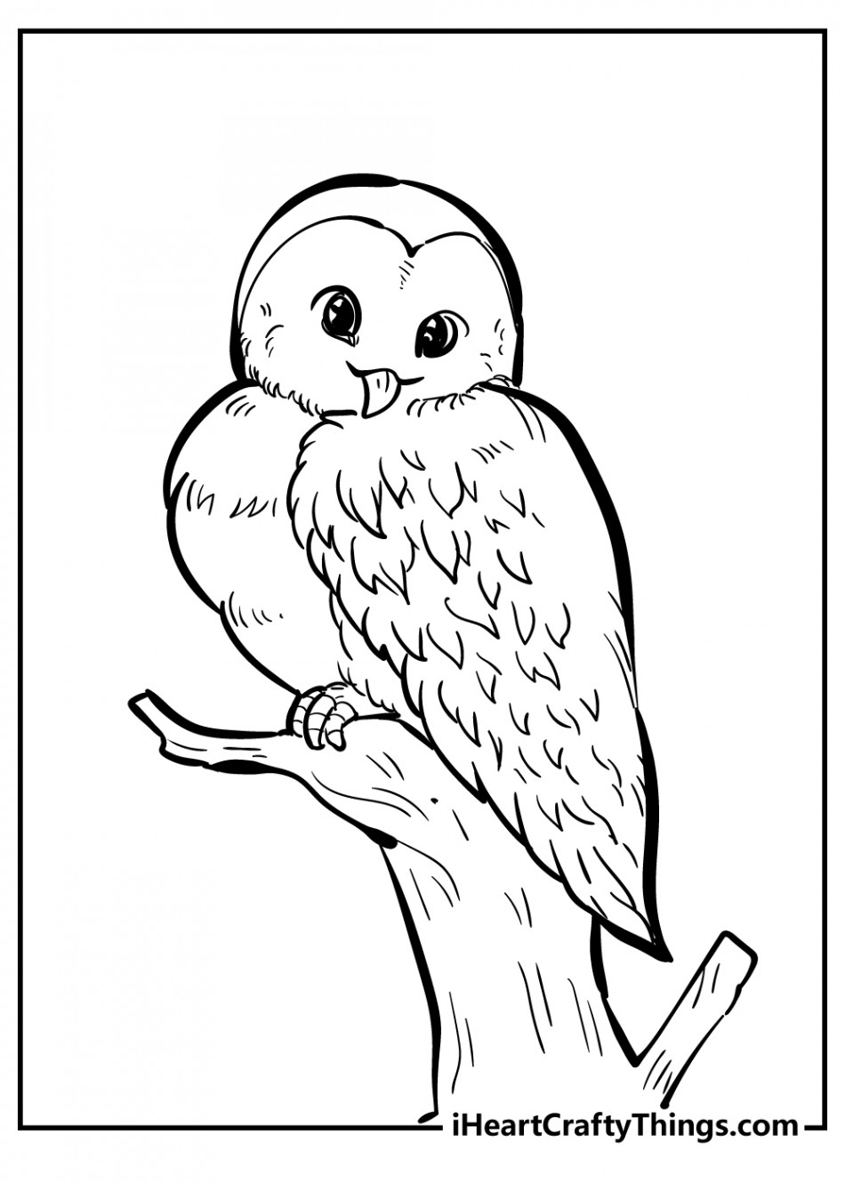 Bird Coloring Pages (% Free Printables)