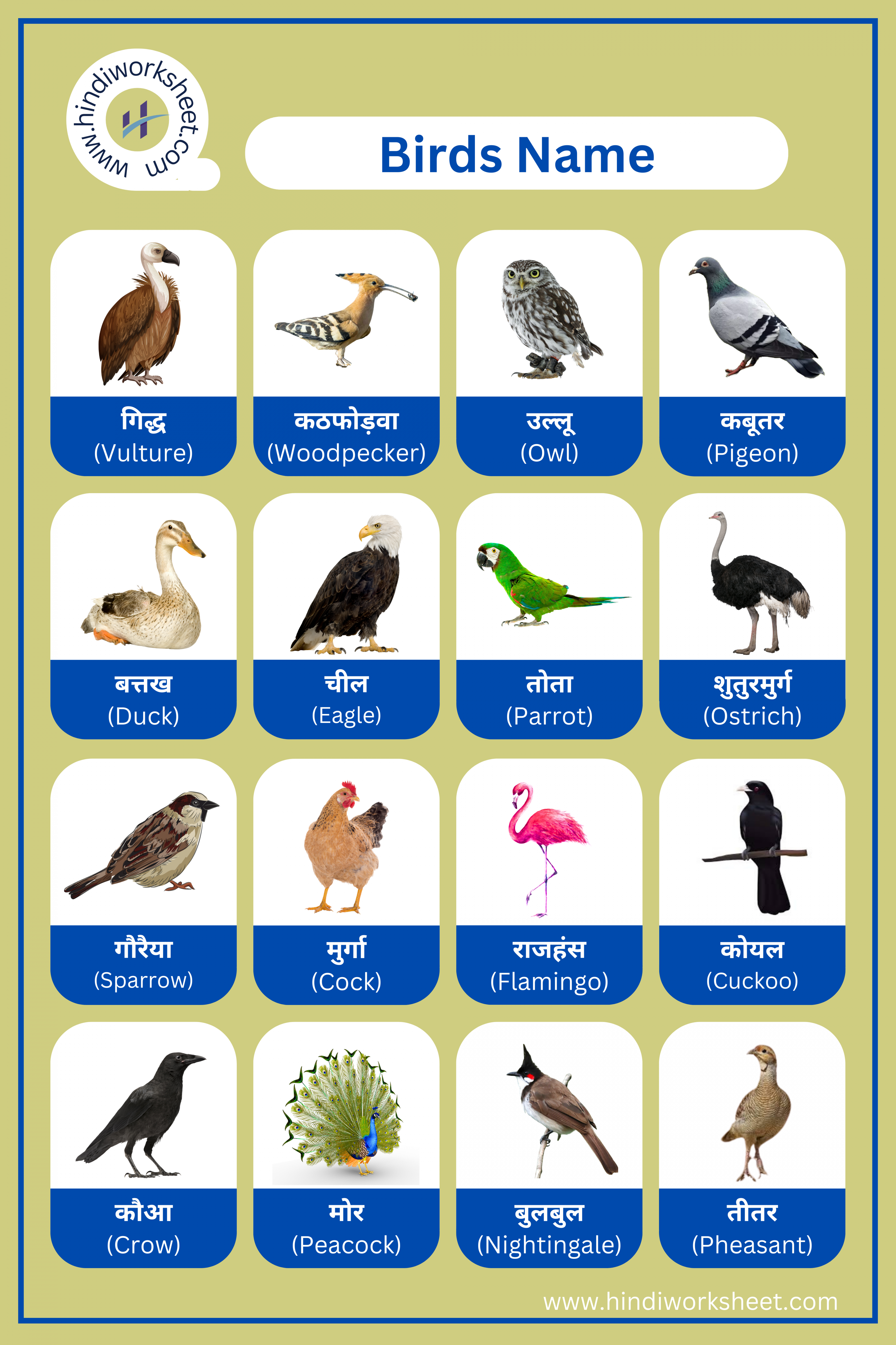 Birds Chart for Kids