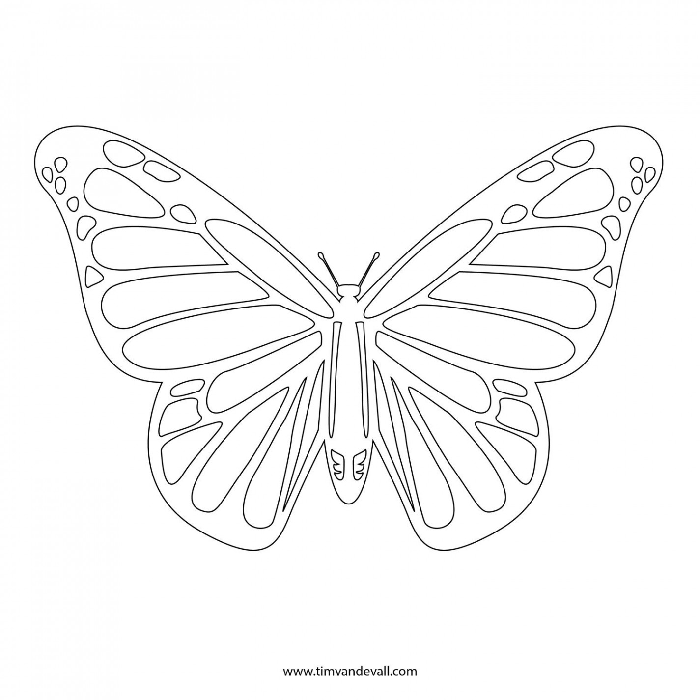 Butterfly outline, Butterfly stencil, Butterfly coloring page