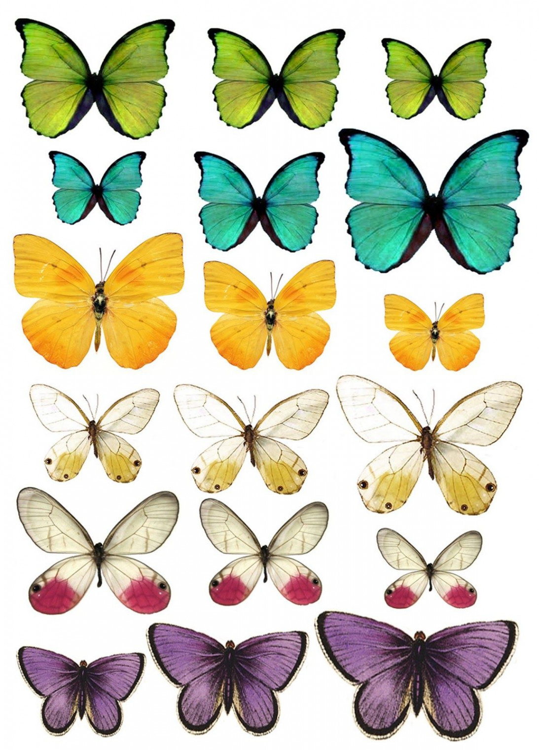 Butterfly printable, Butterfly art, Butterfly images