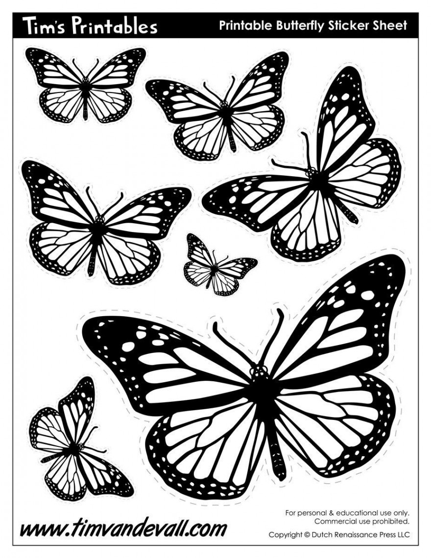 Butterfly Templates – Tim