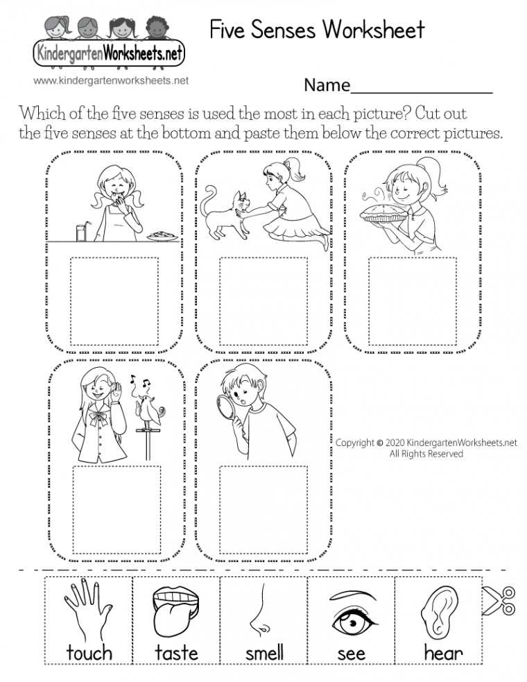 Cut-and-Paste Five Senses Worksheet - Free Printable, Digital, & PDF