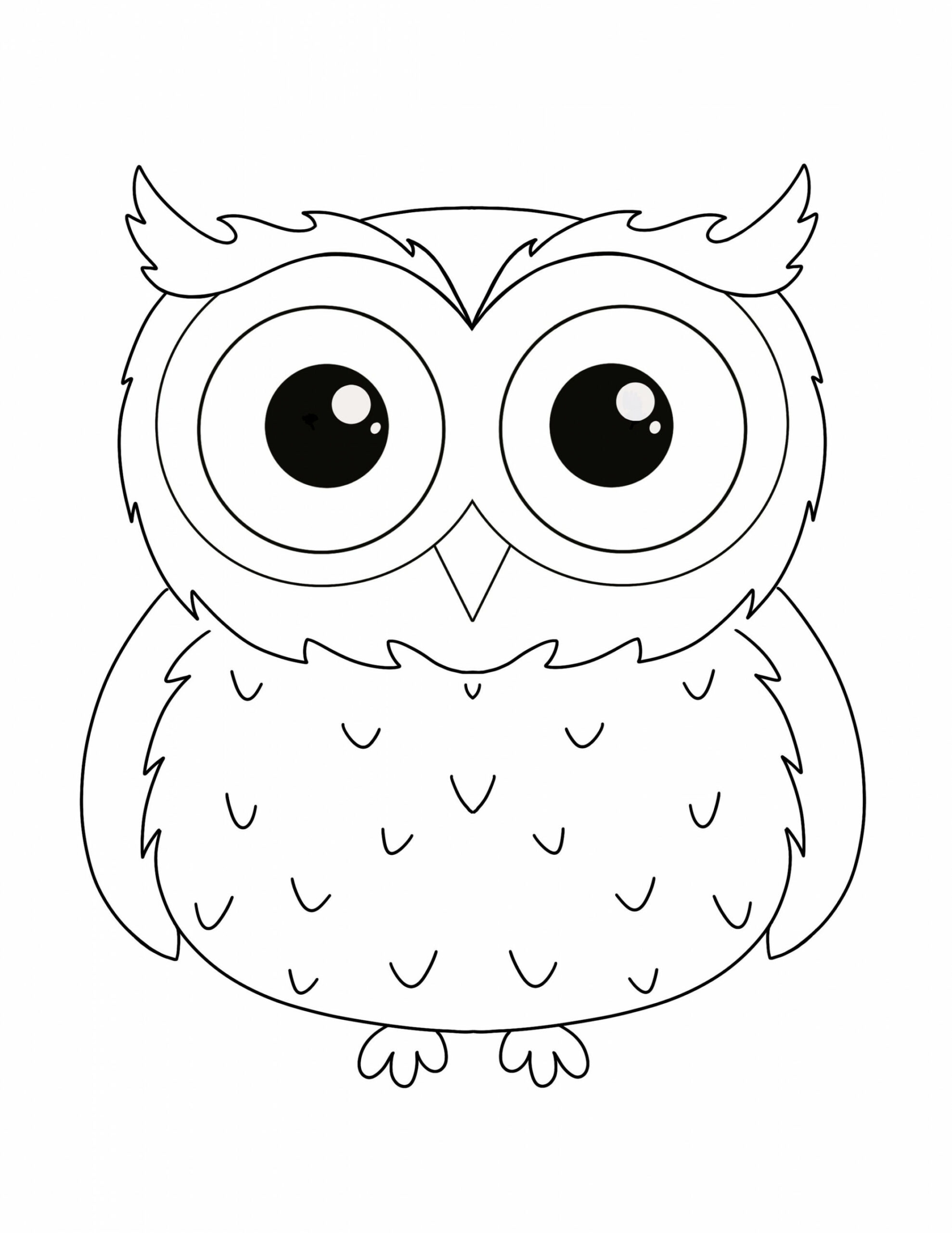 Cute Owl Coloring page for kids, digital download full page owl coloring  page, PDF, PNG, JPG