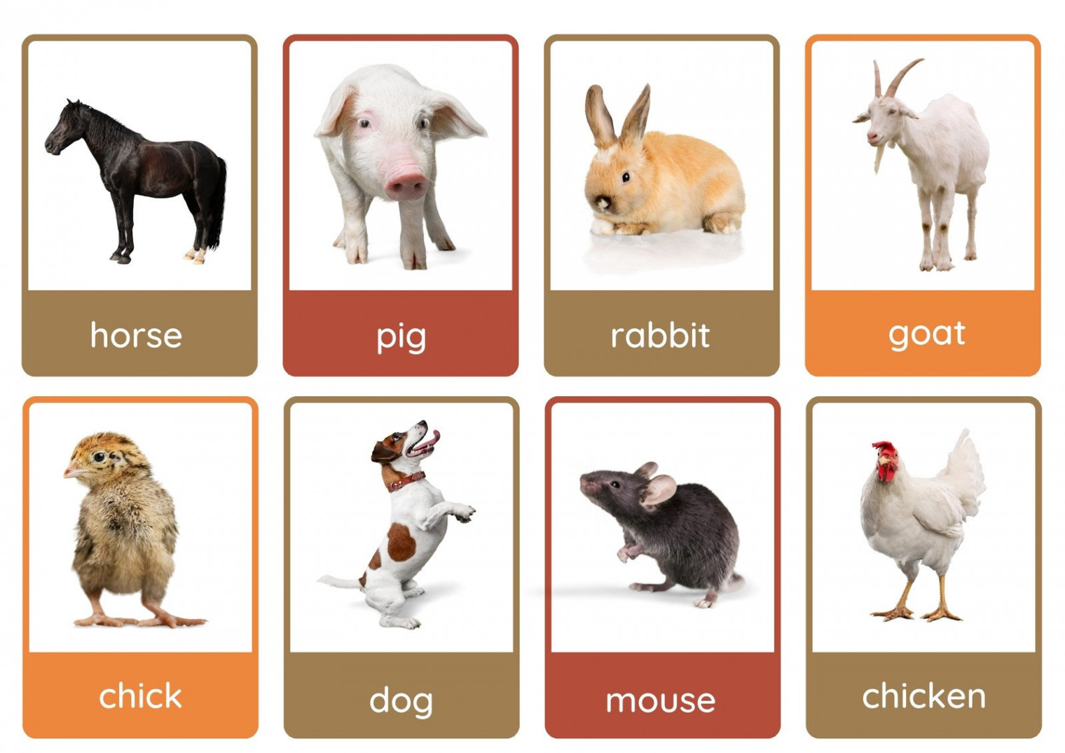 Free animal flashcards to customize and print  Canva