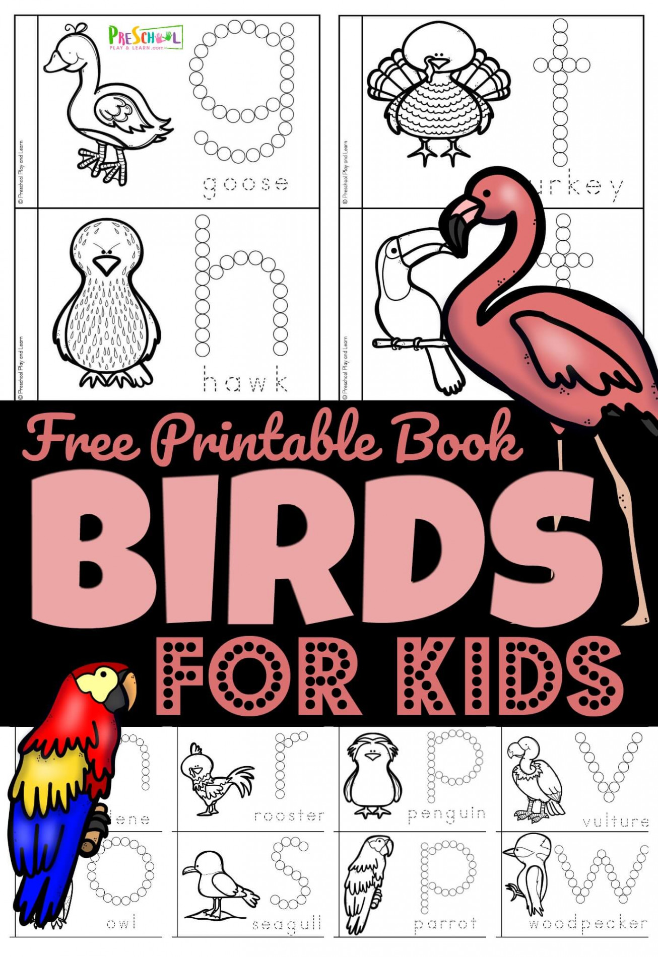 🦩🦜🐧 FREE Birds for Preschoolers Printable Book