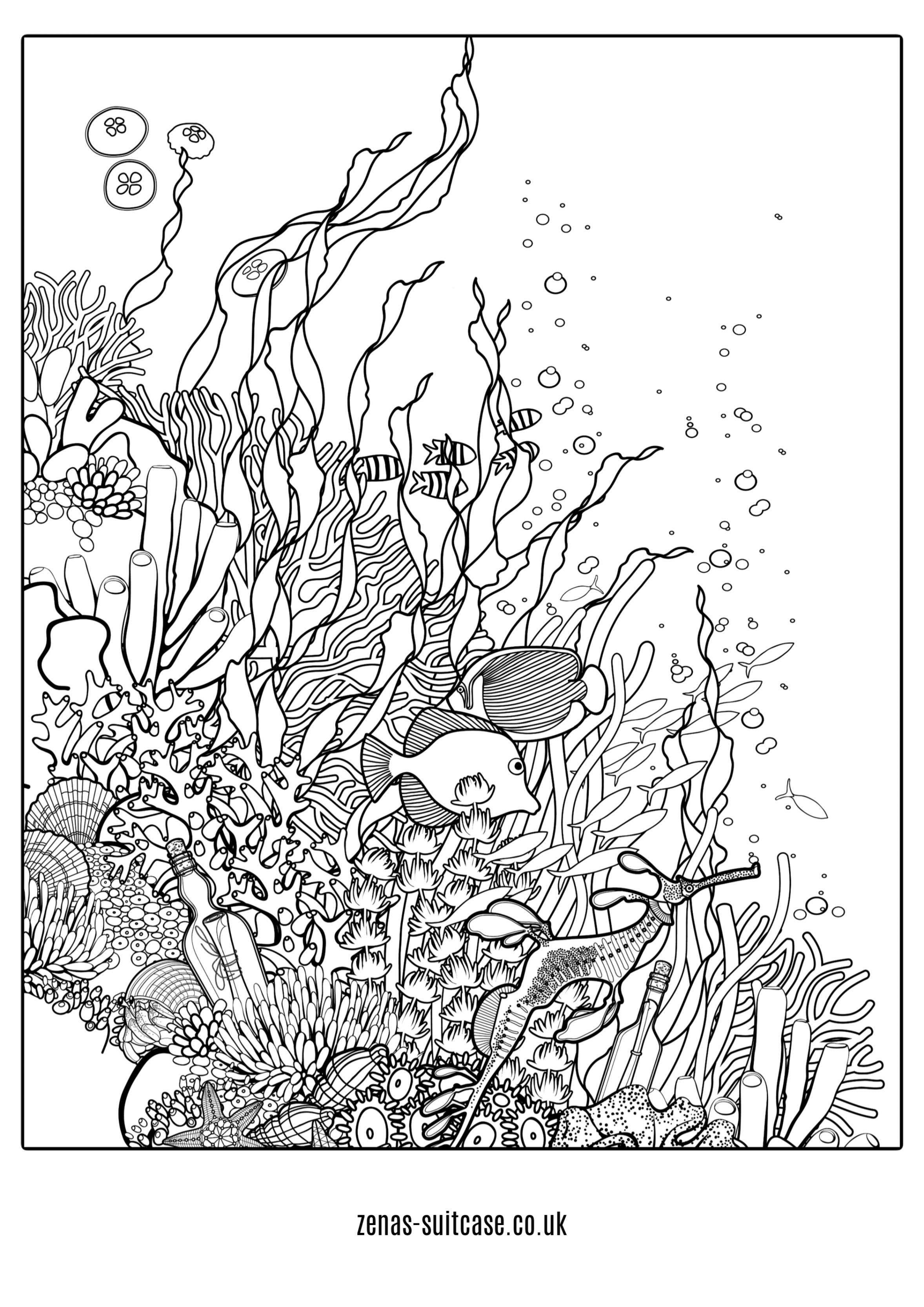 FREE Ocean & Under the Sea Colouring Pages  Zena