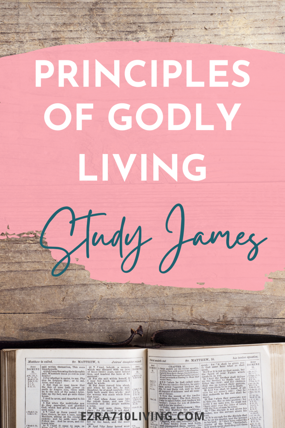 Free Printable Bible Study - James  Bible study james, Bible