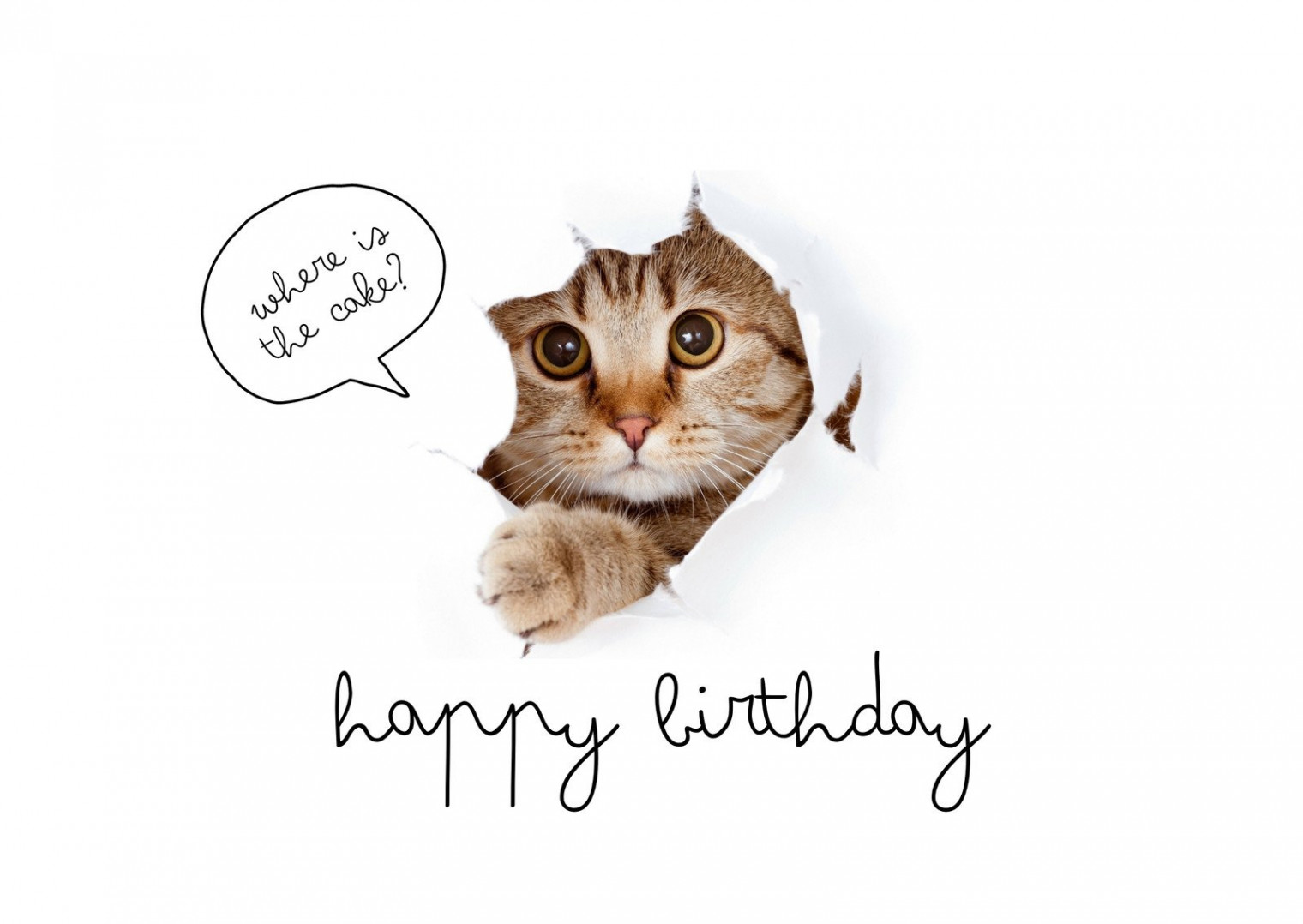 Free printable funny birthday card templates  Canva