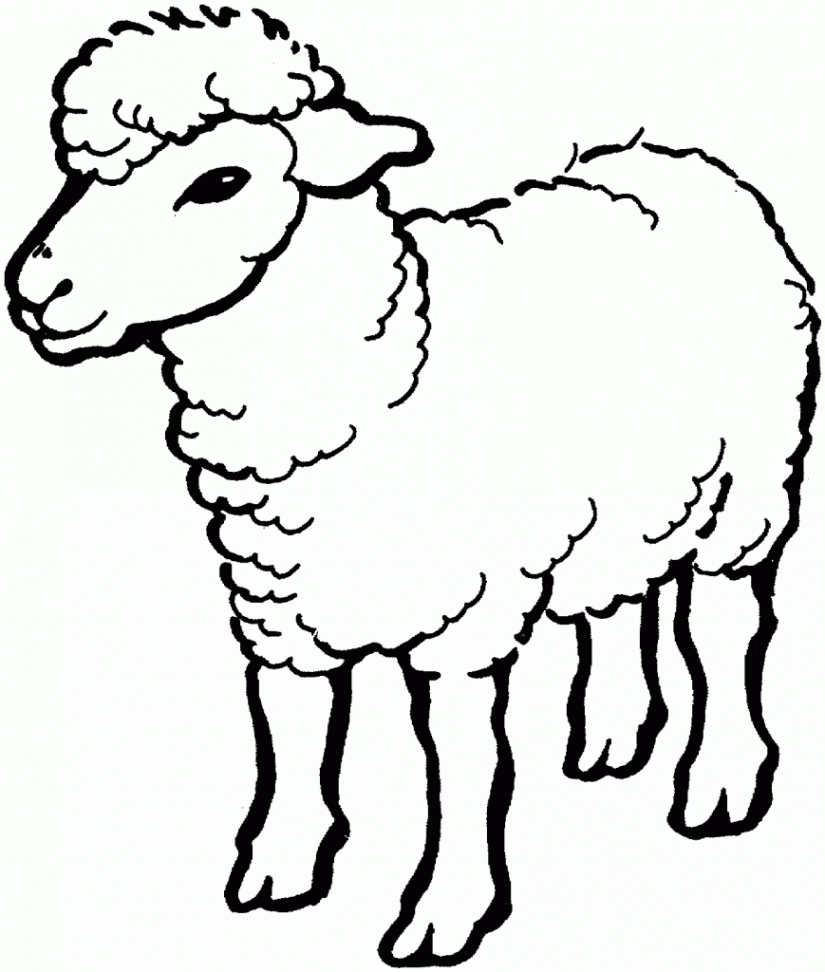 Free Printable Sheep Coloring Pages For Kids  Animal coloring