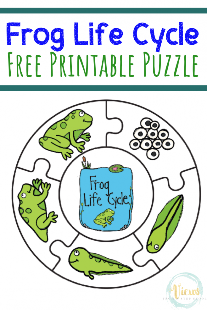 Frog Life Cycle Printable Puzzle - Views From a Step Stool