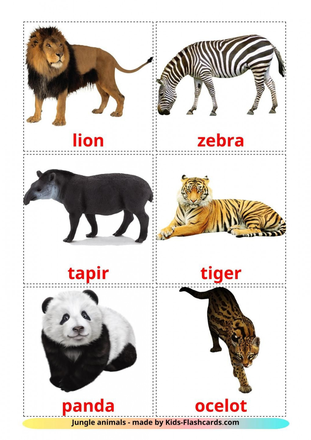 Jungle animals -  Free Printable English Flashcards  Animal