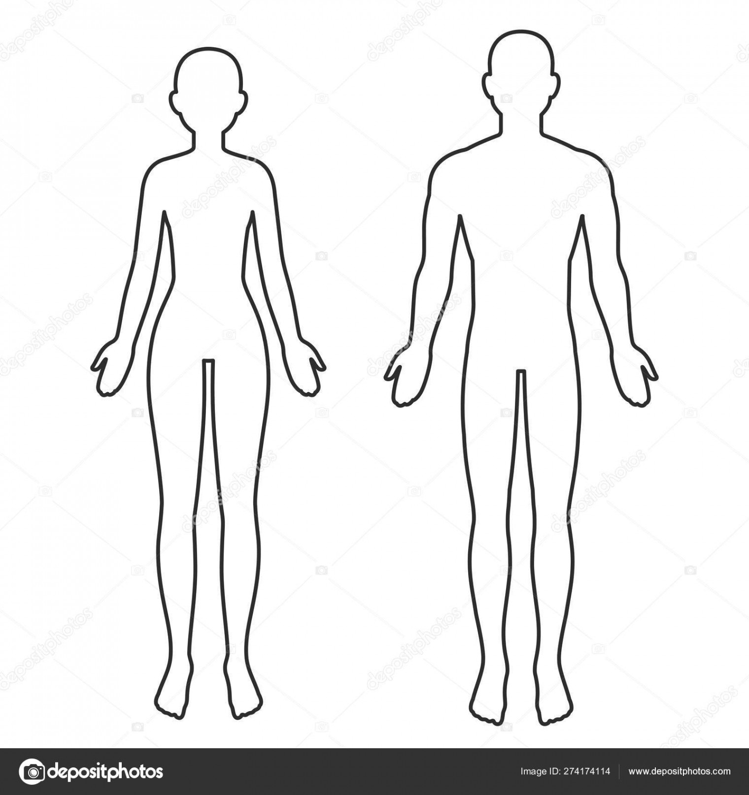 Male and female body outline Stock Vector by ©Sudowoodo