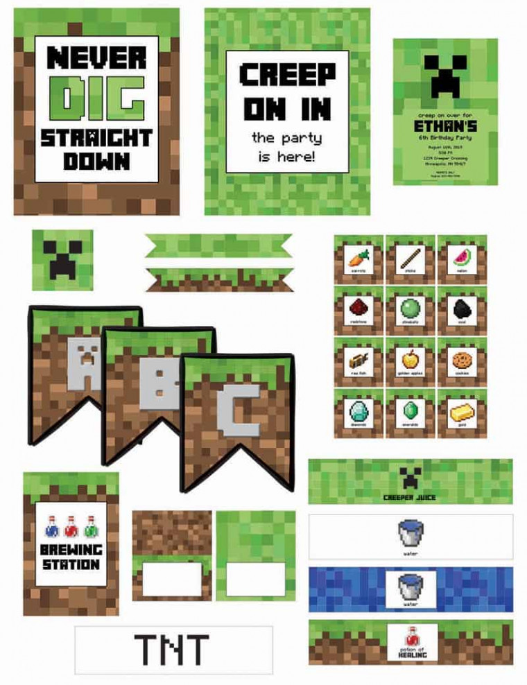 Minecraft Birthday Party (with Free Printables) - Elva M Design Studio