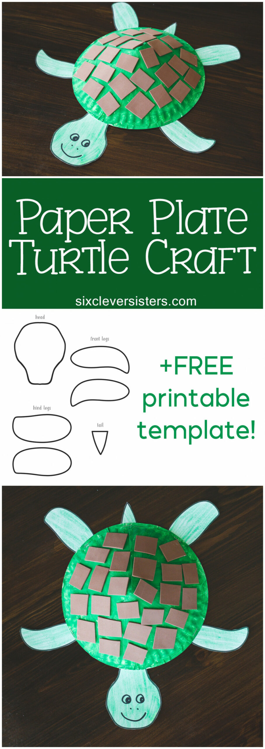 Paper Plate Turtle Craft for Kids (+ Free Printable Template