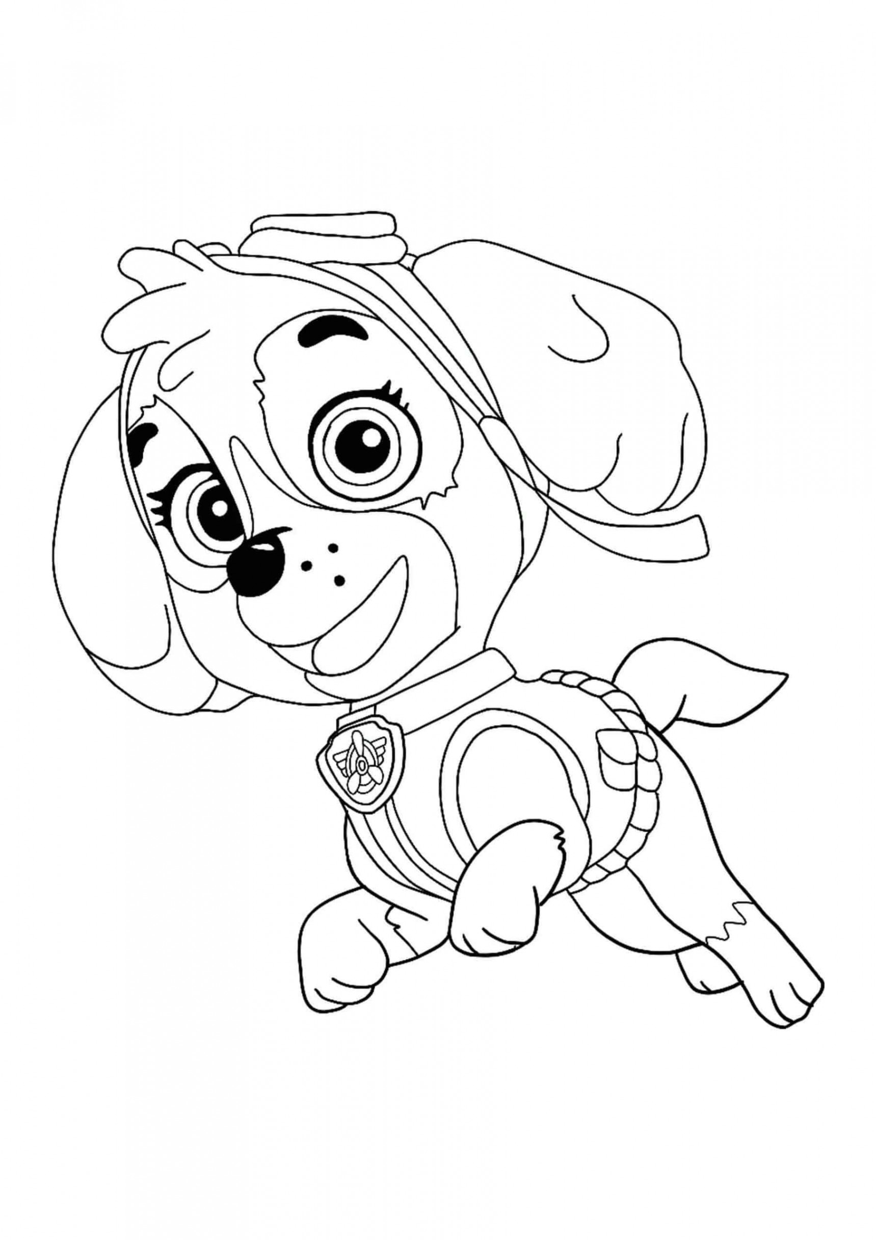 Paw Patrol Skye coloring sheet  Paw patrol coloring pages, Paw