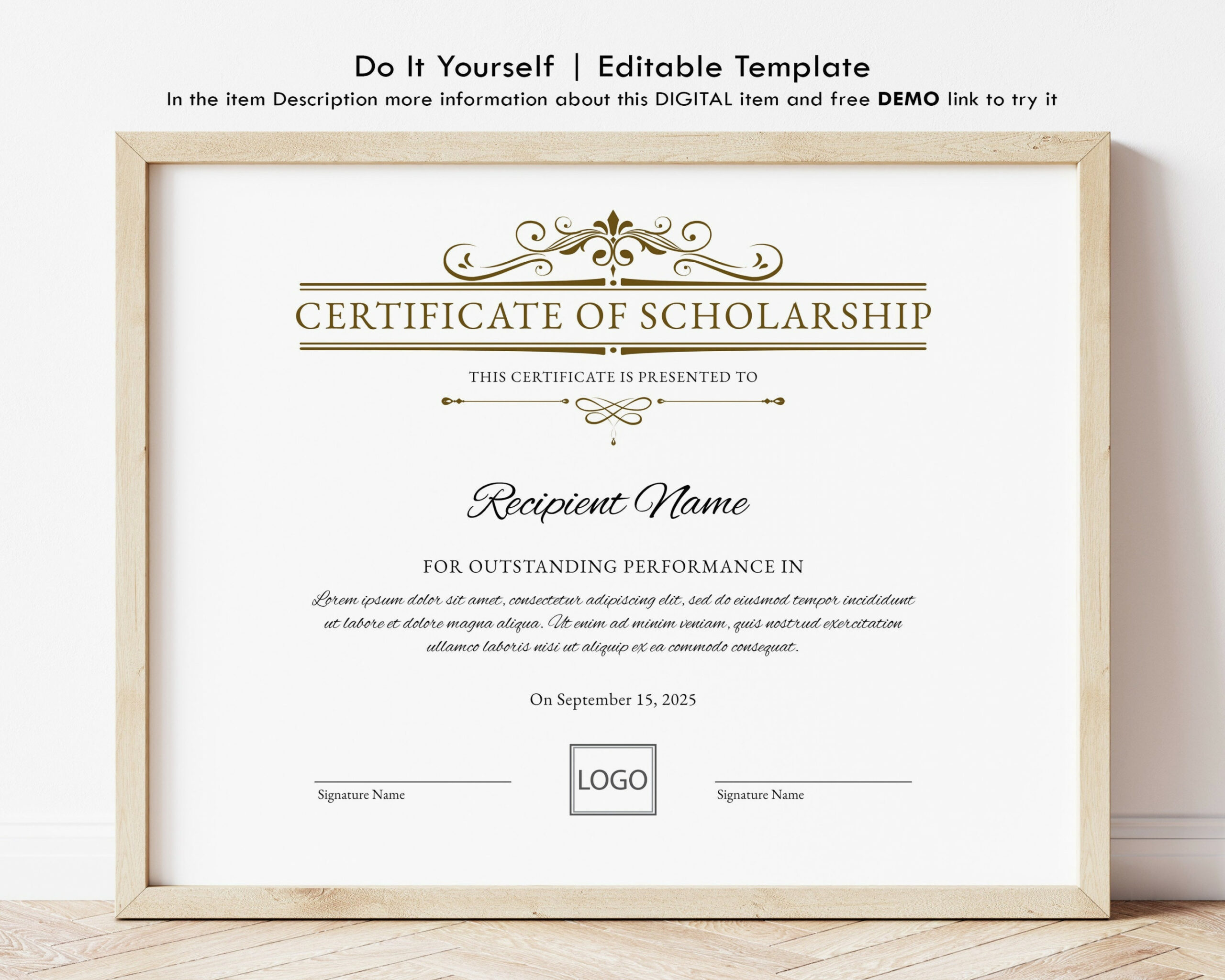 Printable Certificate of Scholarship, Logo EDITABLE Scholarship